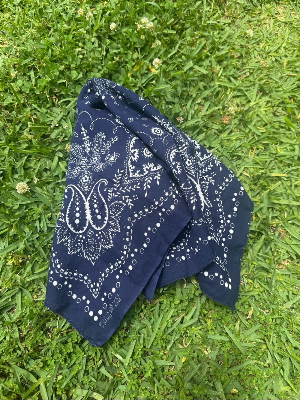Vintage Navy Blue Paisley Bandana